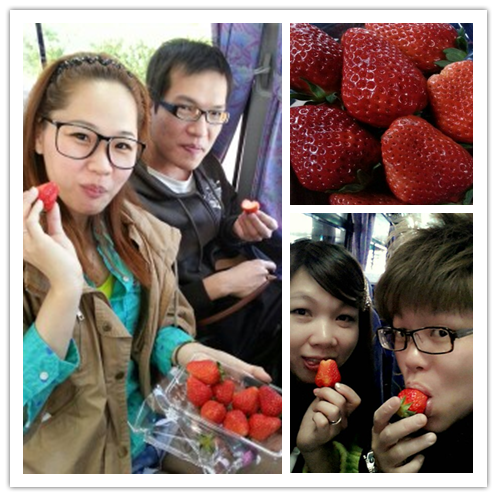 日本の莓
