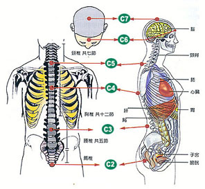 7個穴道