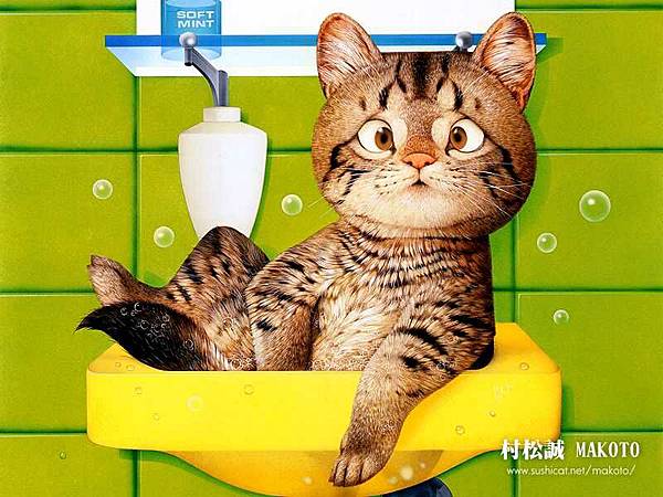 貓咪在浴缸