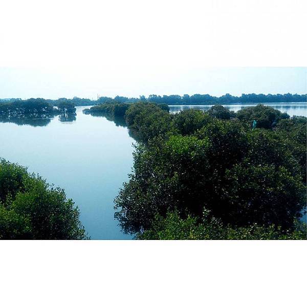 11694939_1072768702751628_2428204264312300173_n