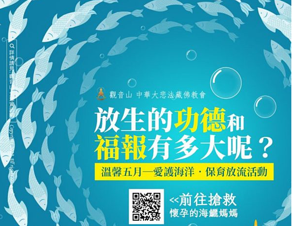 做什麼功德最大？諸功德中放生功德最大！2025藏曆殊勝日—神