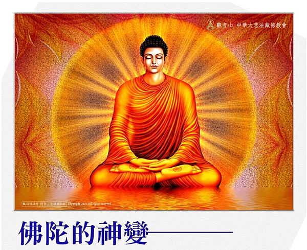 做什麼功德最大？諸功德中放生功德最大！2025藏曆殊勝日—神