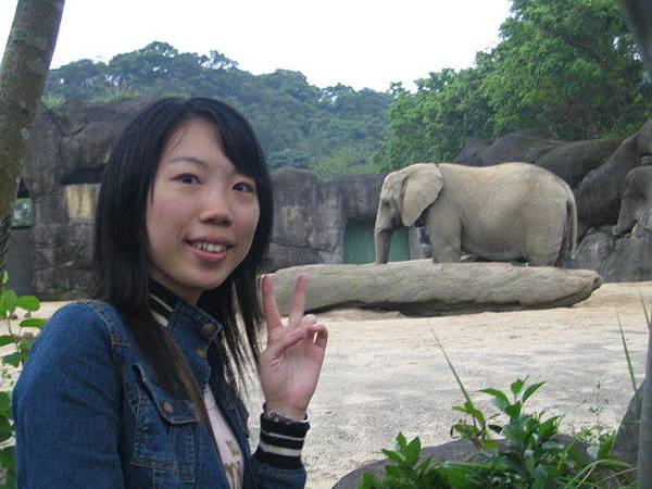 大象真乖.....還是維持不變姿勢
