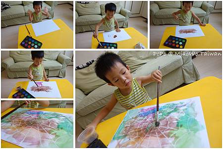 蜘蛛-002.jpg 蜘蛛-002.jpg