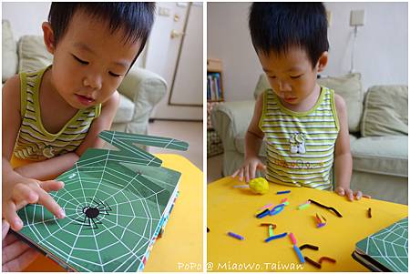 蜘蛛-003.jpg 蜘蛛-003.jpg