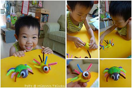 蜘蛛-004.jpg 蜘蛛-004.jpg