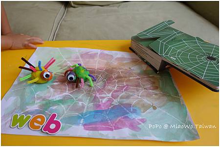 蜘蛛-006.jpg 蜘蛛-006.jpg