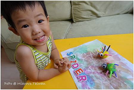 蜘蛛-007.jpg 蜘蛛-007.jpg