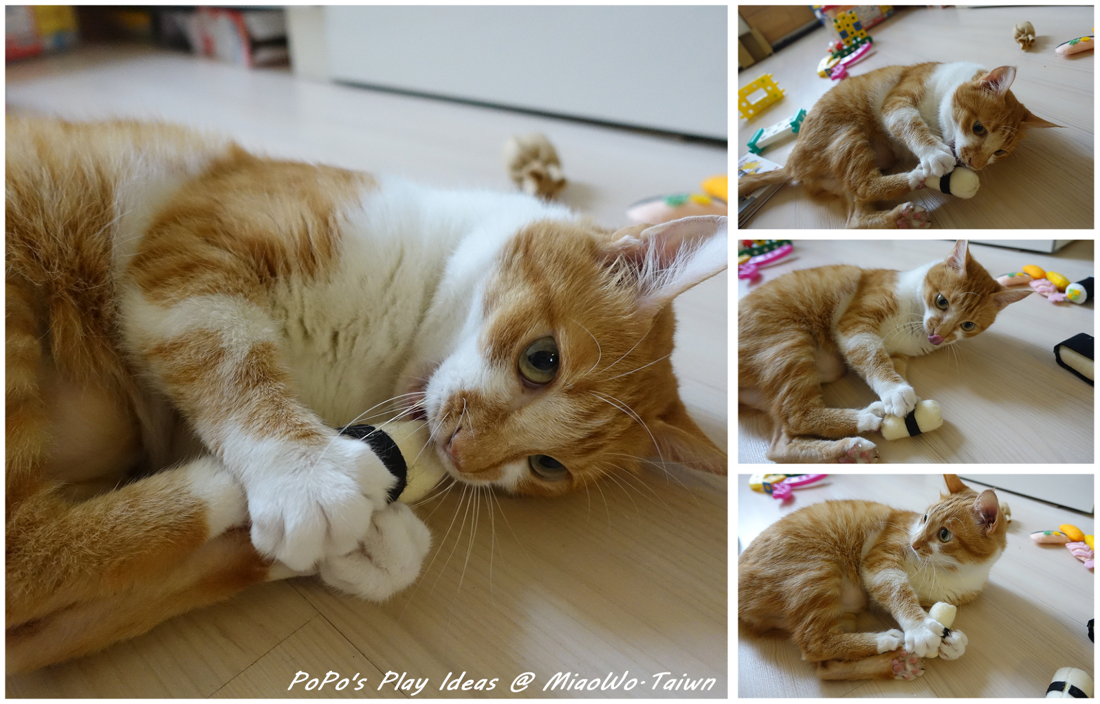 壽司-07.jpg 壽司-07.jpg