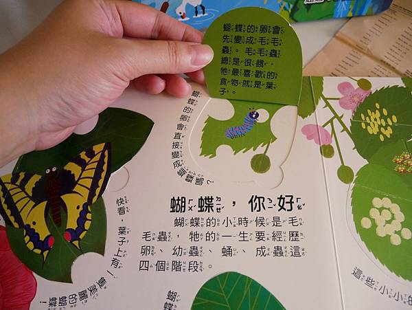 幼福文化「你問我答翻翻書系列」學知識也能很有趣！！