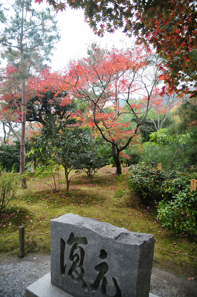 天龍寺