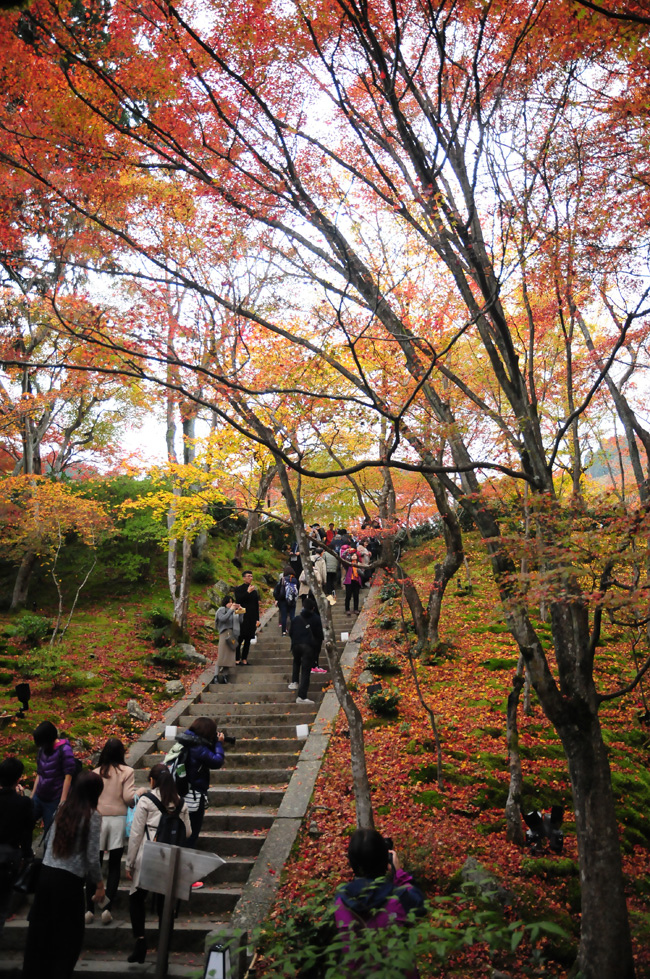 常寂光寺