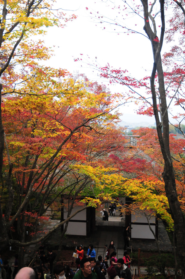 常寂光寺