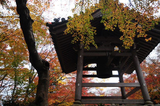 常寂光寺