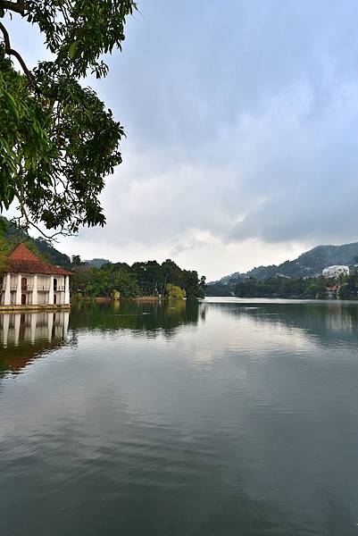 DSC_7891.JPG DSC_7891.JPG