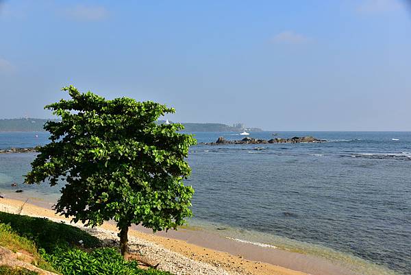 DSC_6816.JPG DSC_6816.JPG