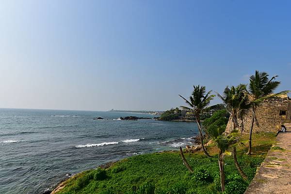 DSC_8559.JPG DSC_8559.JPG