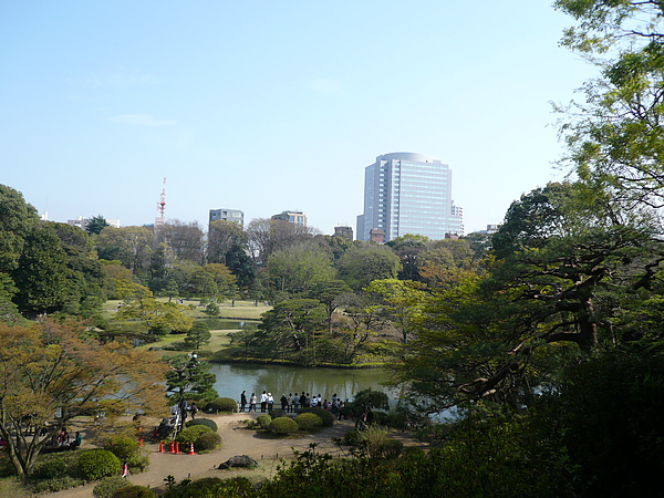 登上藤代峠, 眺望全景