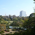 登上藤代峠, 眺望全景