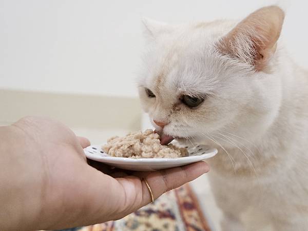 汪喵星球低脂罐實測心得 汪喵星球低脂罐實測心得