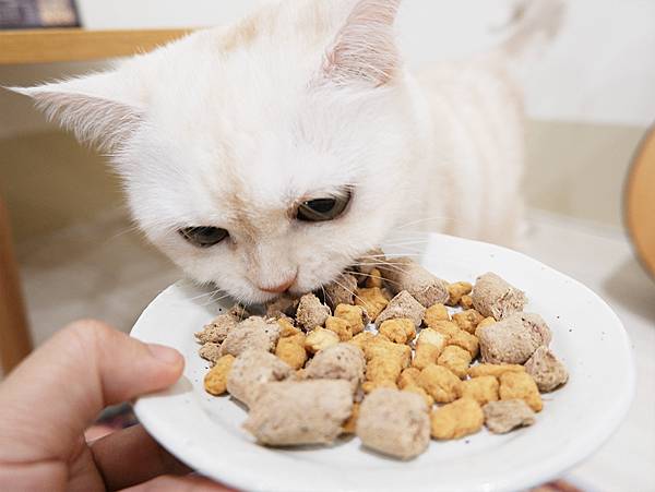 Petbakery紐西蘭凍乾可以作為一般飼料的營養補給