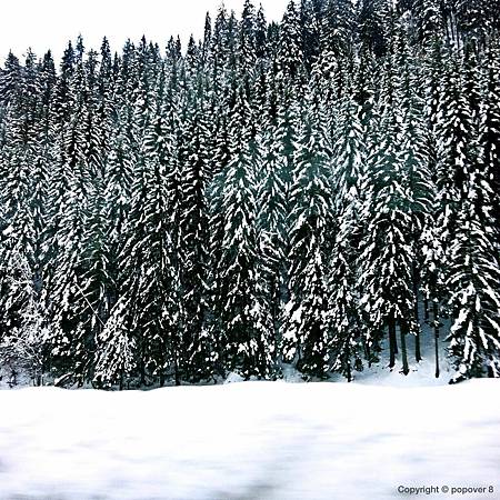 瑞士高速公路上美麗雪景