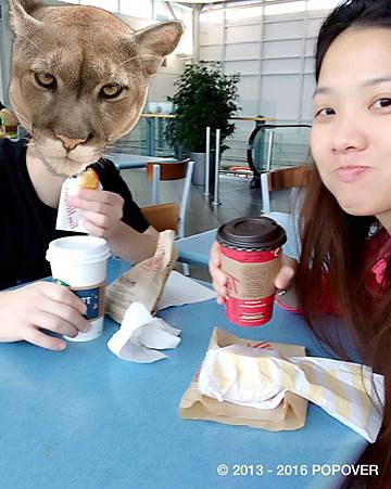 2016@Vancouver Tim Hortons