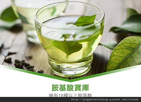 20160828-桑麗茶6 20160828-桑麗茶6