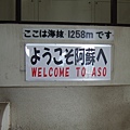 DSCF2988.JPG