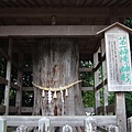 DSCF3057.JPG