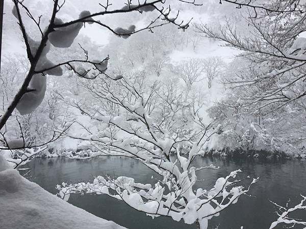 秘境一軒宿，日本百名湯－大牧溫泉＆富邦不便險理賠經驗