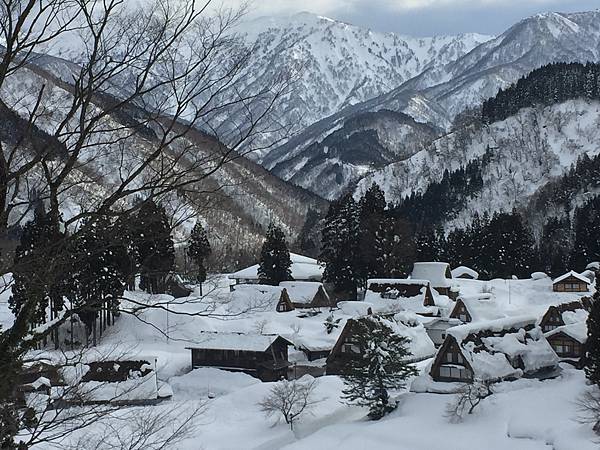 2018年日本冬季大禮包心得，蒐集絕美冬景的12天之旅