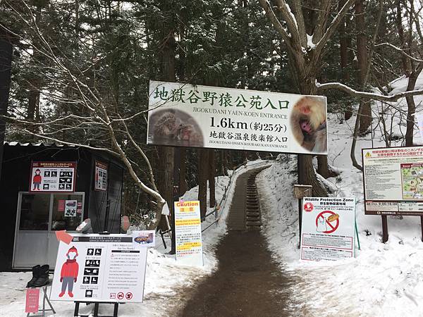 2018年日本冬季大禮包心得，蒐集絕美冬景的12天之旅