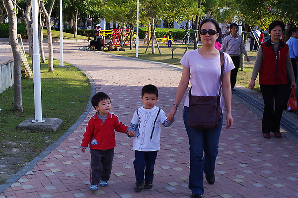 IMGP3238.JPG IMGP3238.JPG