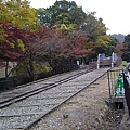 20101114430.JPG