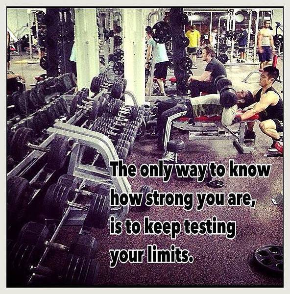 1466270_695861417092173_1872111067_n