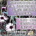 【生活，要將時間花費在求意與義】