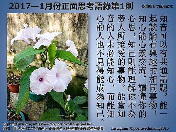 【「知己」、「知音」與「知心」的分別】