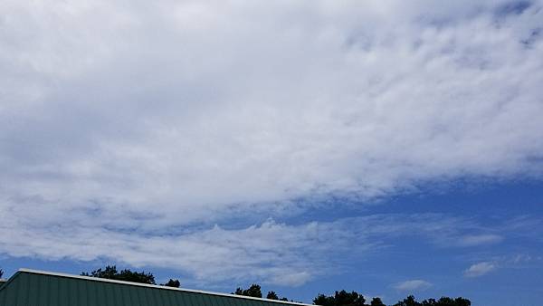 2021年八月份文章照片.jpg 2021年八月份文章照片.jpg