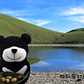 台灣黑熊遊嘉明湖 3-1.jpg