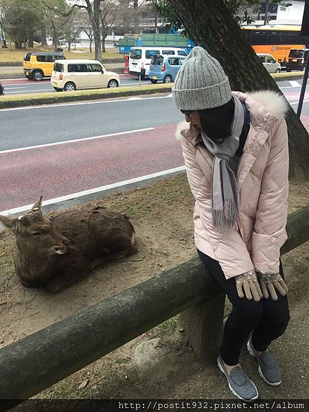 170120(6).JPG 170120(6).JPG