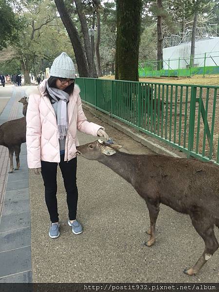 170120(2).JPG 170120(2).JPG