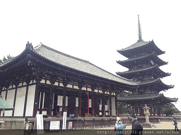 170120(29).JPG 170120(29).JPG