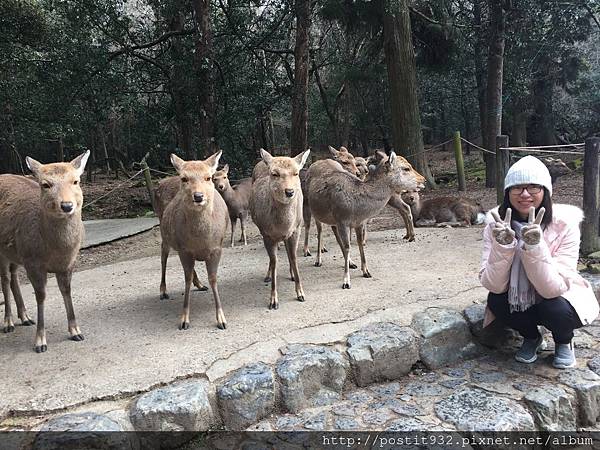 170120(85).JPG 170120(85).JPG