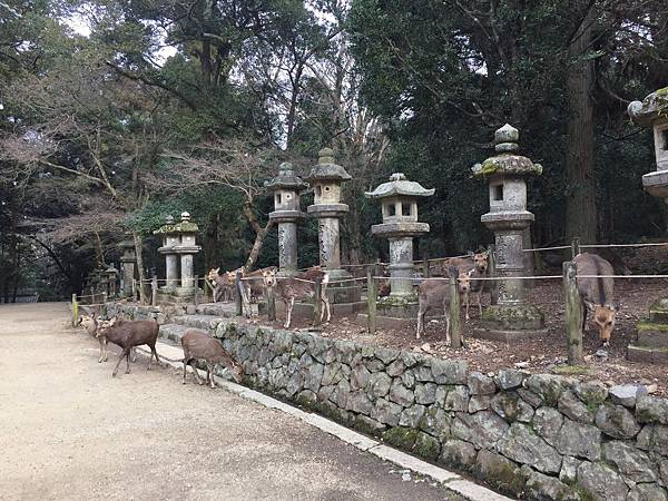 170120(79).JPG 170120(79).JPG