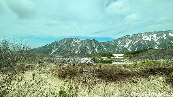 2023-06-10 09.34.11.jpg 2023-06-10 09.34.11.jpg