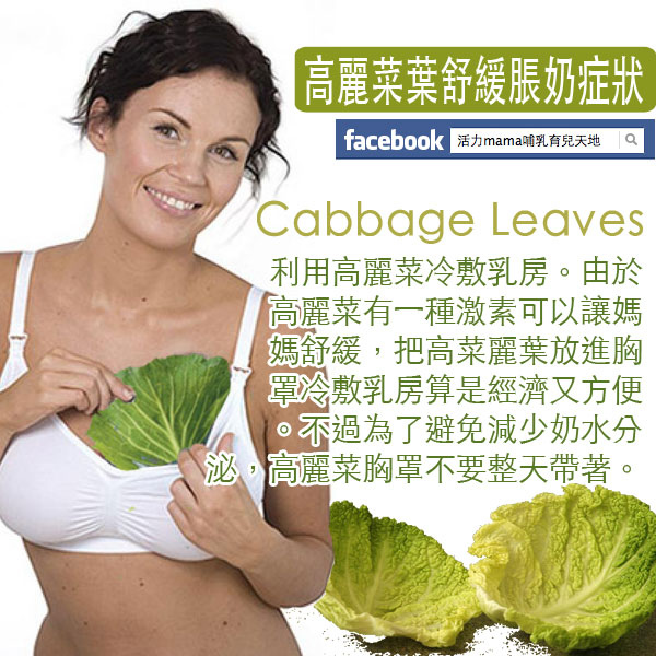 Cold cabbage