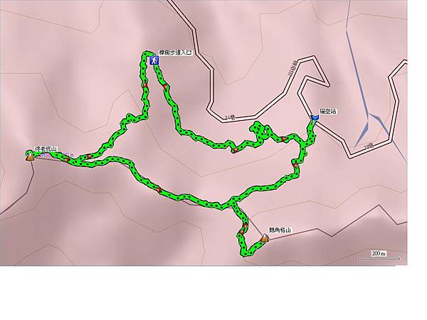 樟樹步道賞魯冰花 鵝角格山 待老坑山