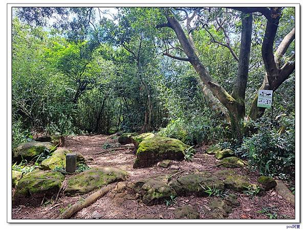 龜山 大湖頂山 大棟山