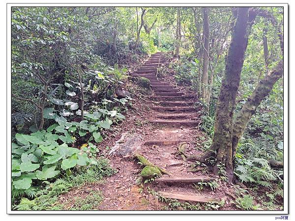 土城 大尖山 牛埔頭山